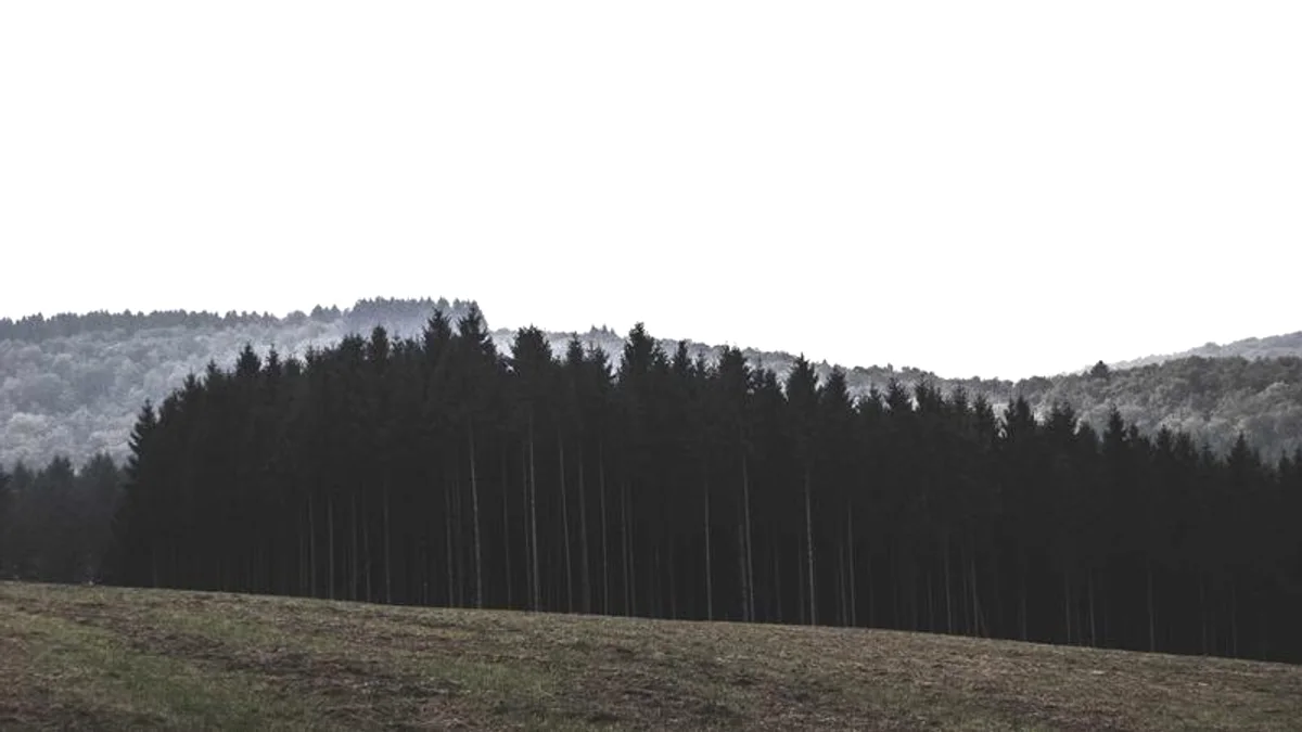 Bay45: lịch trực tiếp bóng đá hôm nay, soi kèo La Liga và tỷ số live 2026-05-26